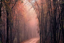 乐鱼体育网站入口-雄鹿争冠启示录，从马刺到奥运，克莱式关键时刻的胜利哲学