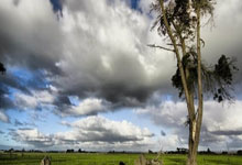 乐鱼app-德国队翻盘中国队，奥恰洛夫关键制胜