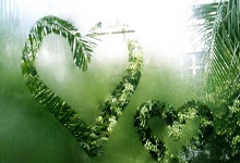 乐鱼体育-从五棵松到马尼拉，北京精神如何塑造了2026世界杯的西亚卡姆