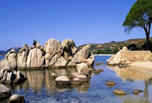 乐鱼体育app-当足球节奏遇见F1狂飙，厄瓜多尔式控场与德布劳内的赛道统治力